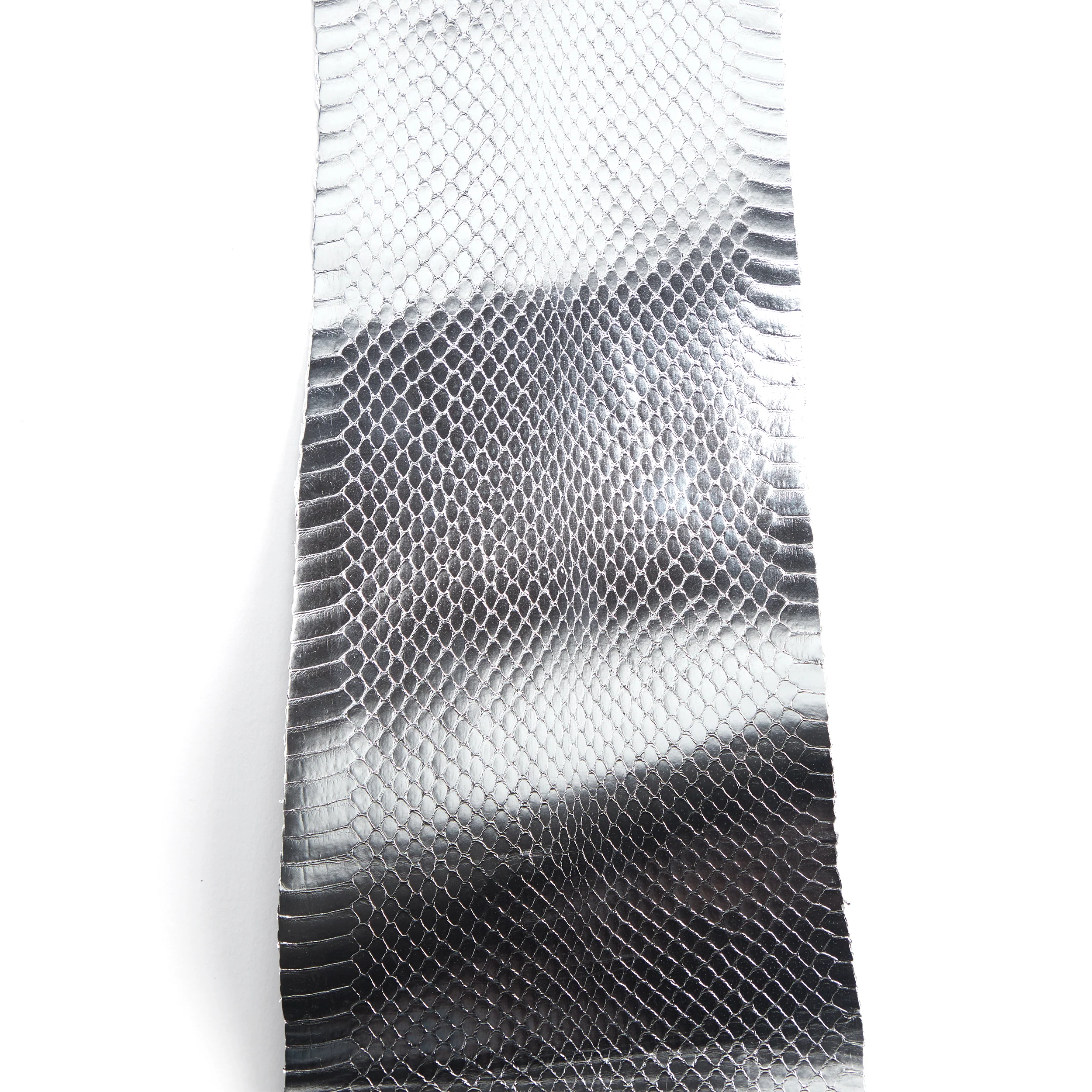 Whipsnake Skin - FINAL SALE - Image 10