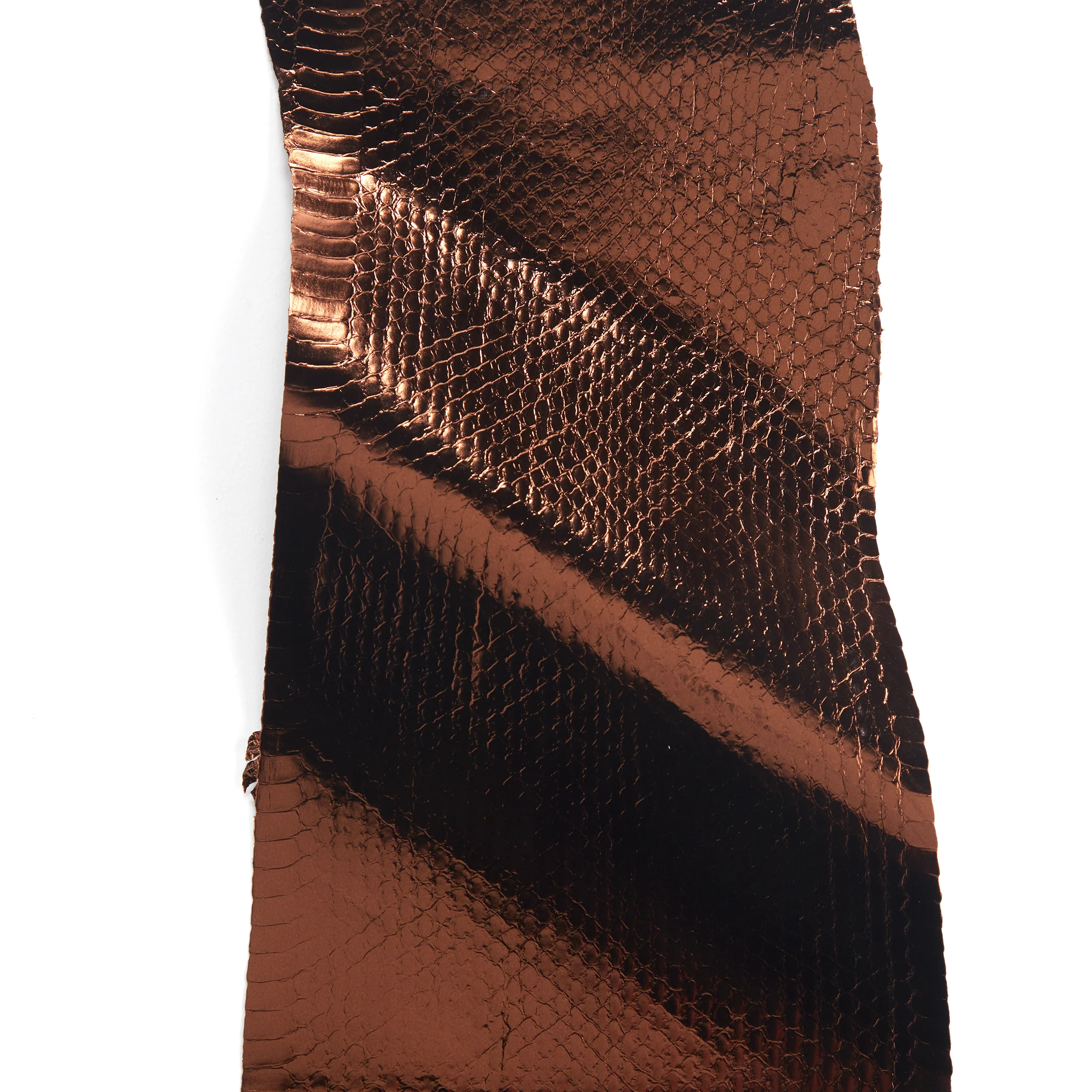 Whipsnake Skin - FINAL SALE - Image 11