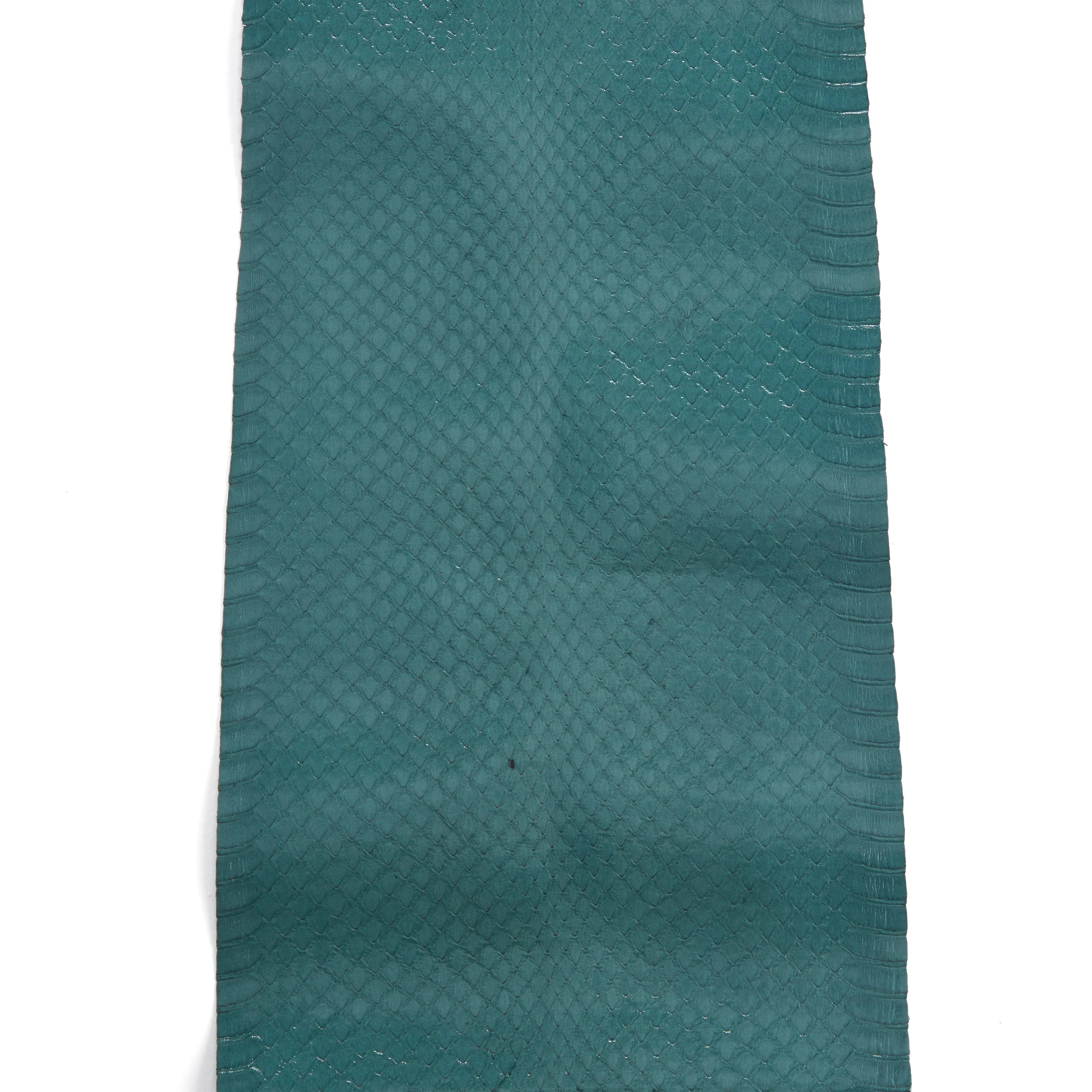 Whipsnake Skin - FINAL SALE - Image 12