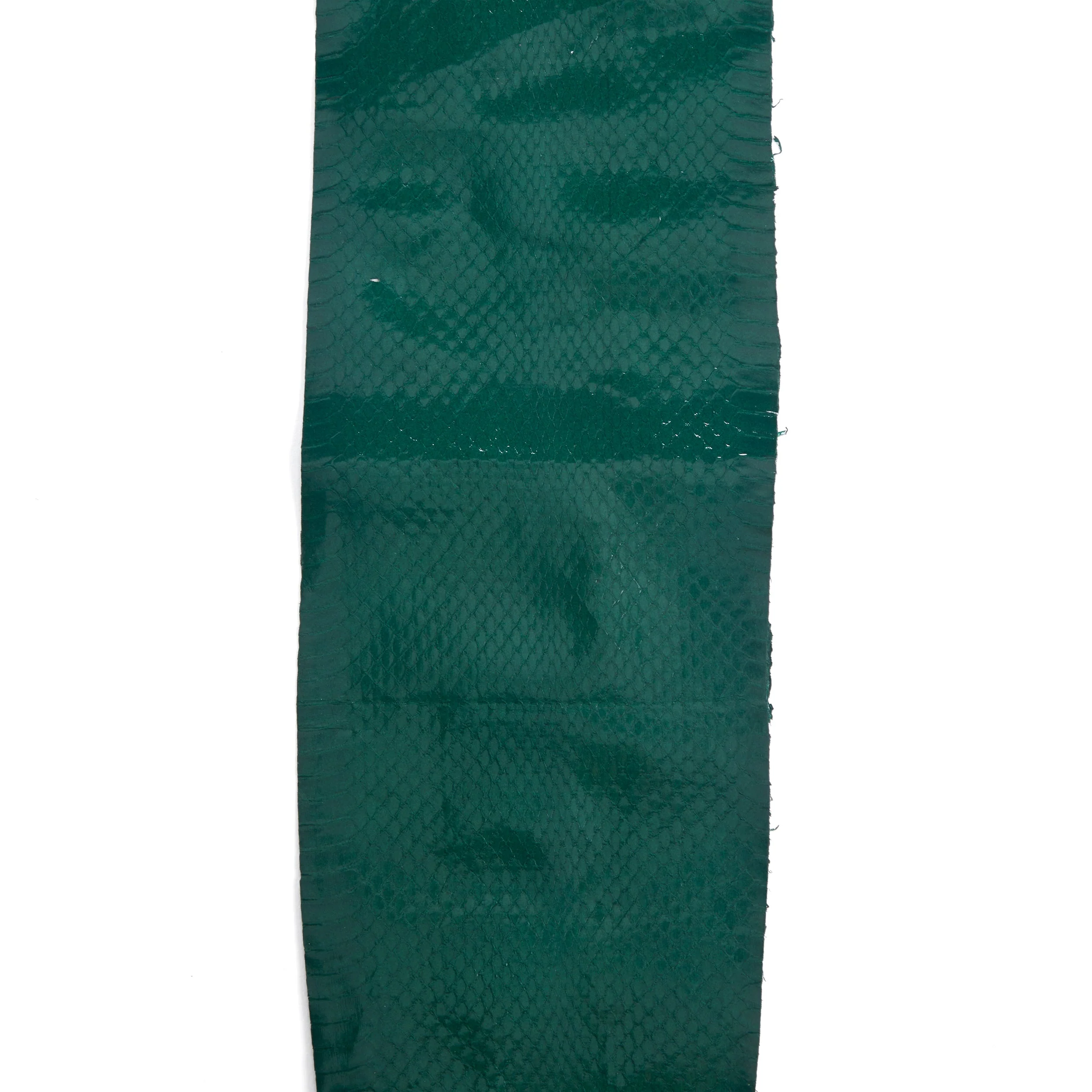 Whipsnake Skin - FINAL SALE - Image 3