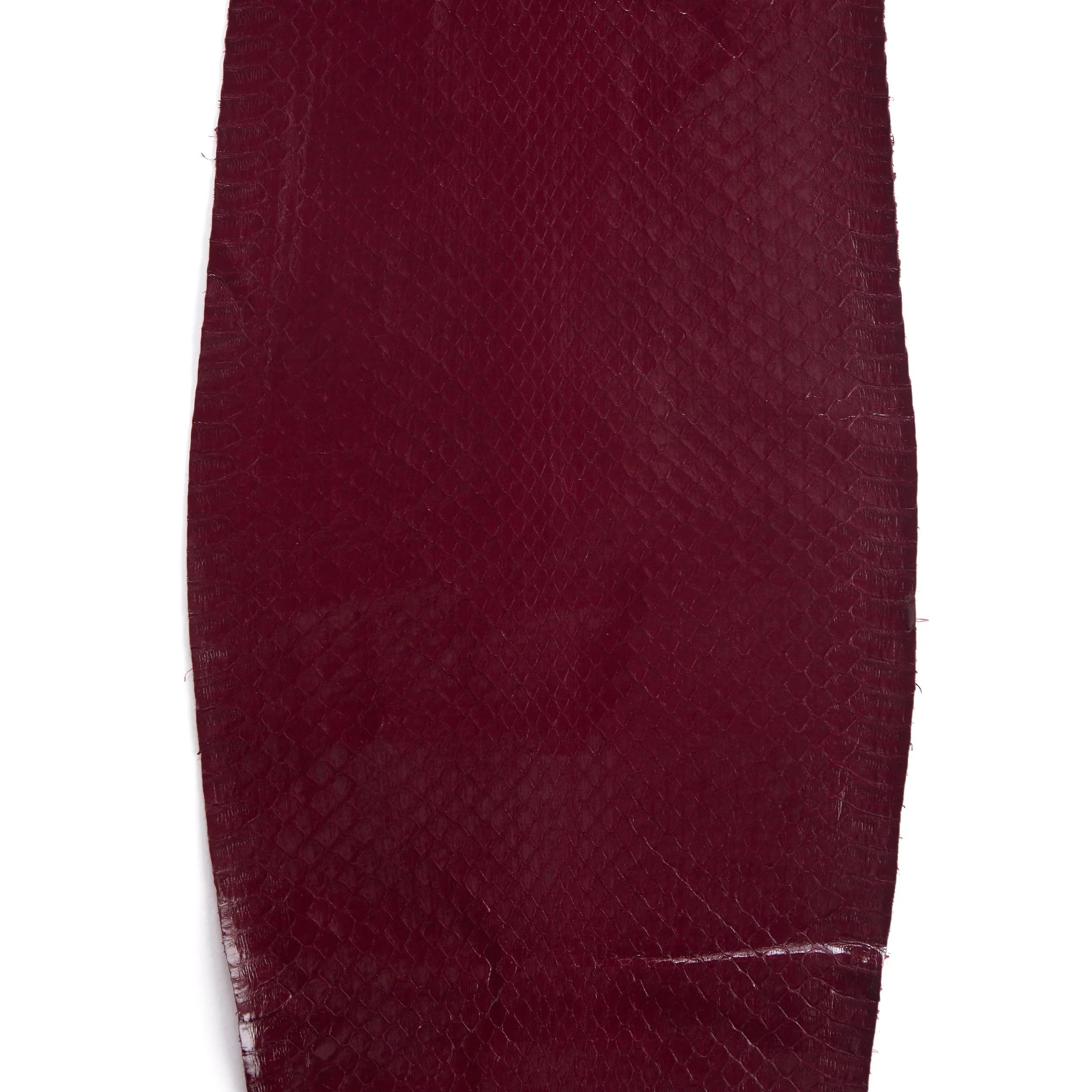 Whipsnake Skin - FINAL SALE - Image 4