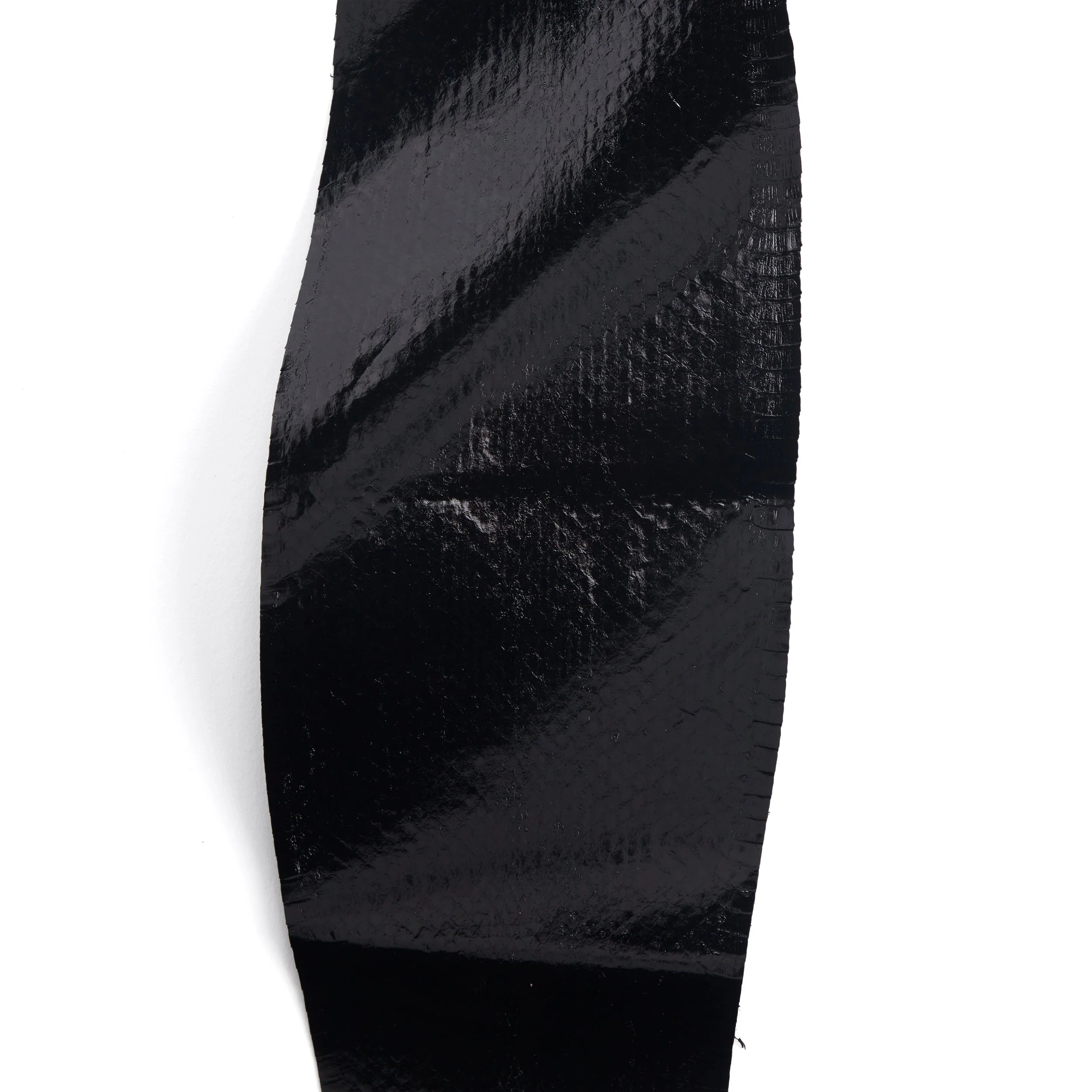Whipsnake Skin - FINAL SALE - Image 7