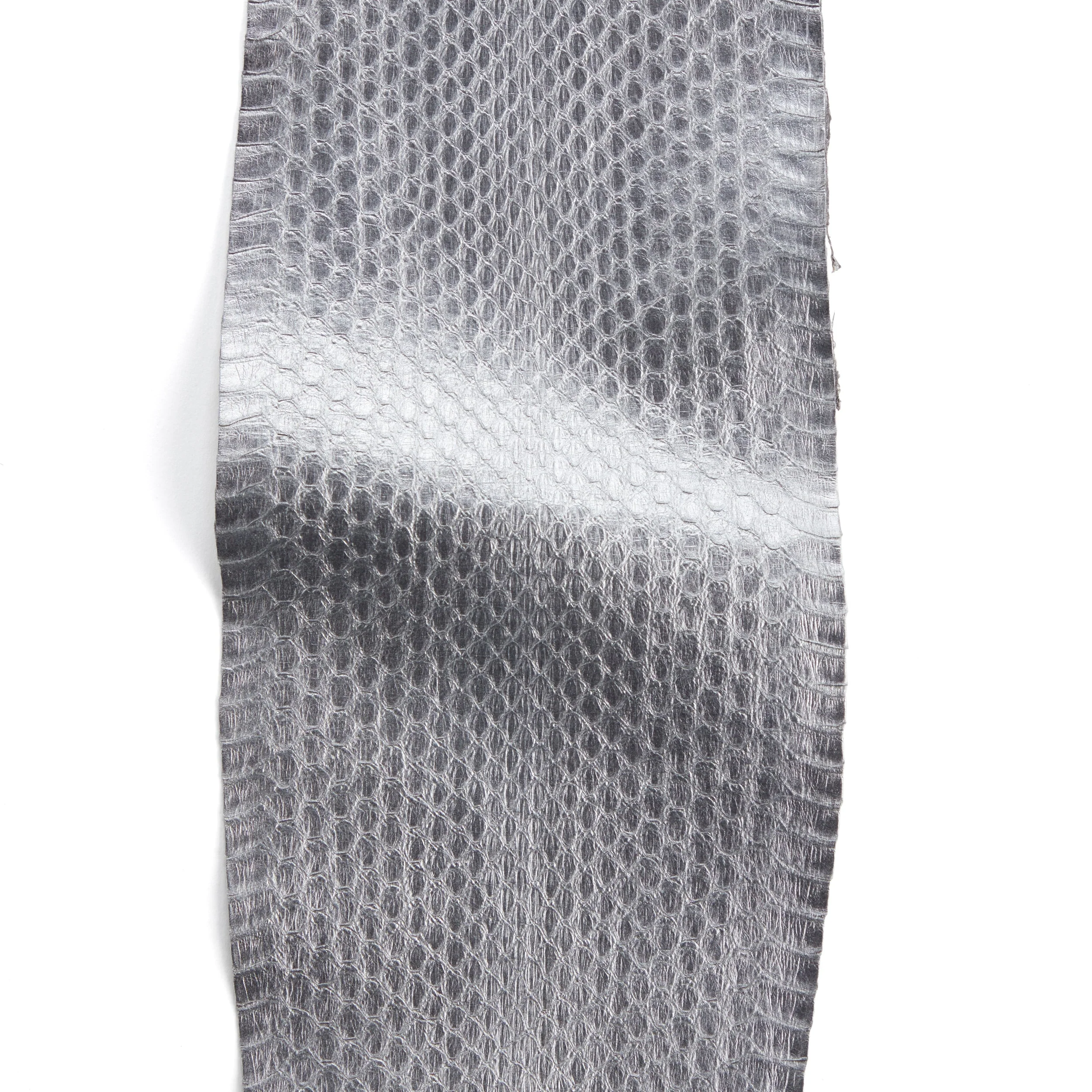 Whipsnake Skin - FINAL SALE - Image 8