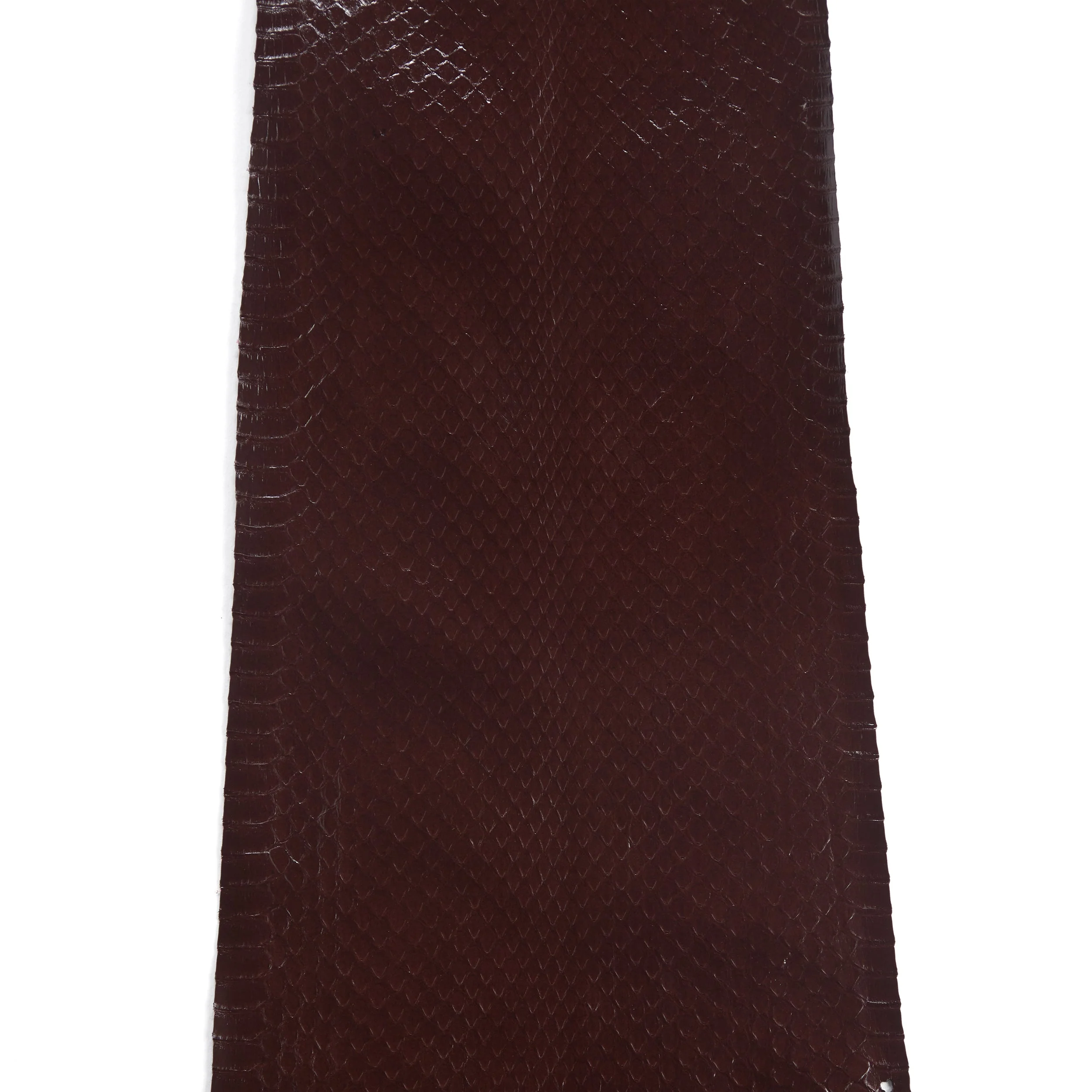 Whipsnake Skin - FINAL SALE - Image 9